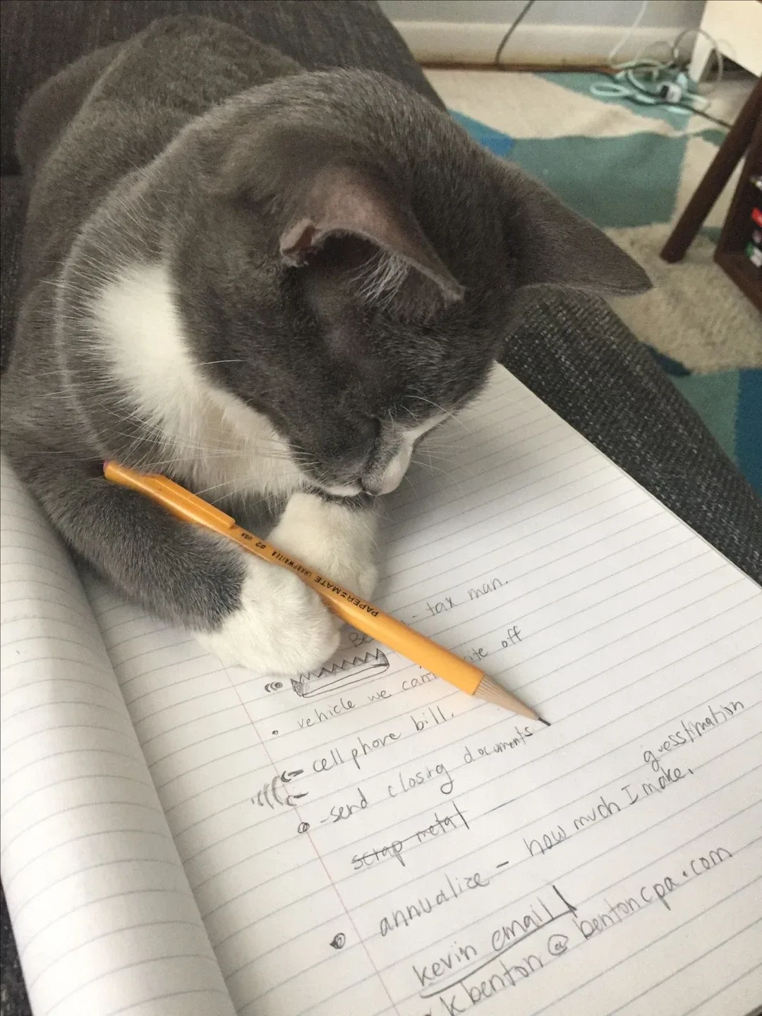 부보
