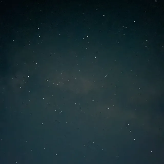 태로시