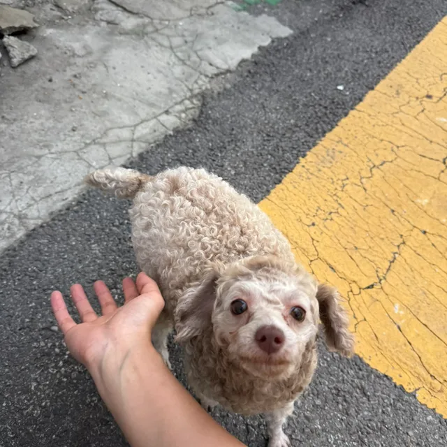 튼튼하게자라자