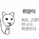 쥐양이