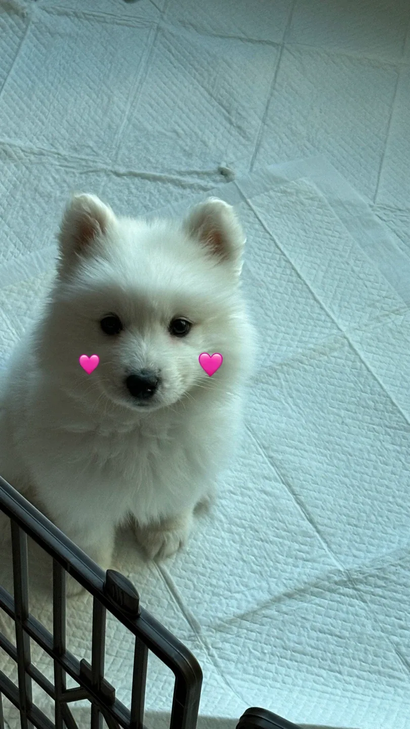 묭묭