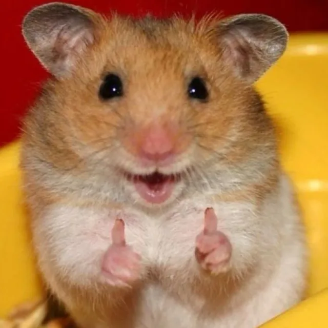 HEY