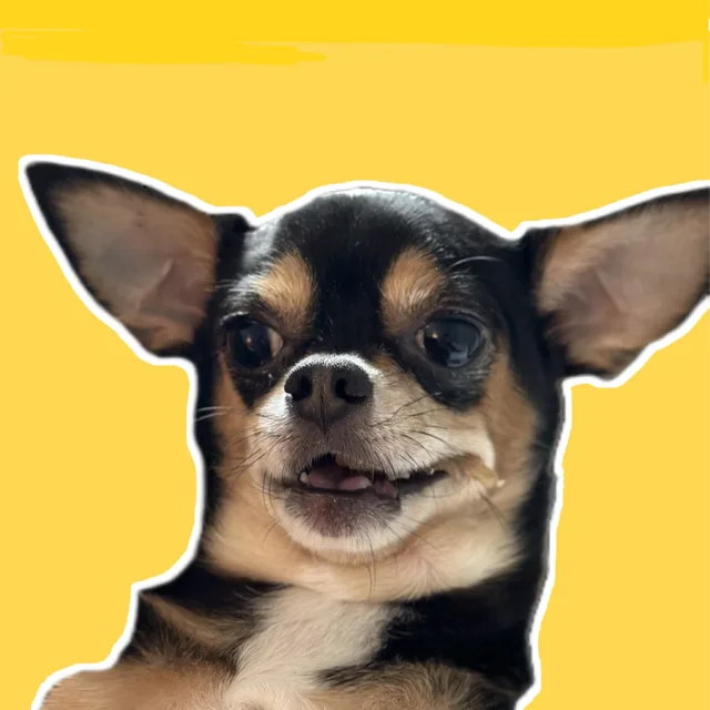 옹디