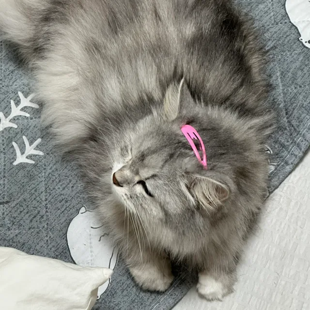 바니당근줘