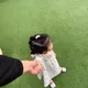 반짝이는행복이