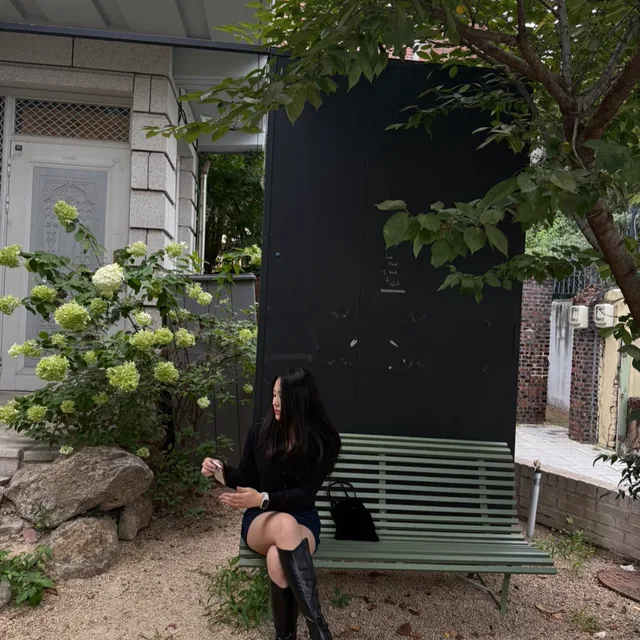 마리모