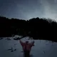 산책하는달팽이