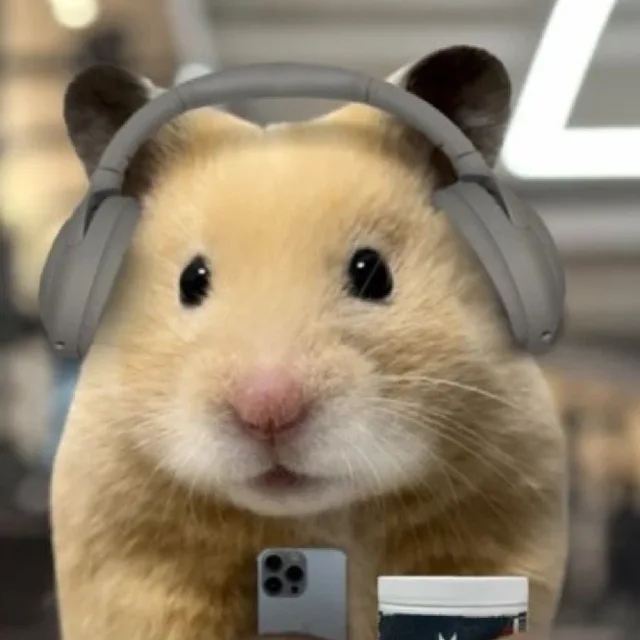 김햄찌