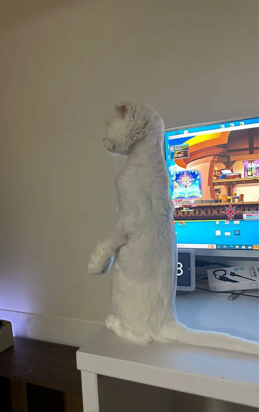 솔밭공원