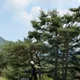 오블란
