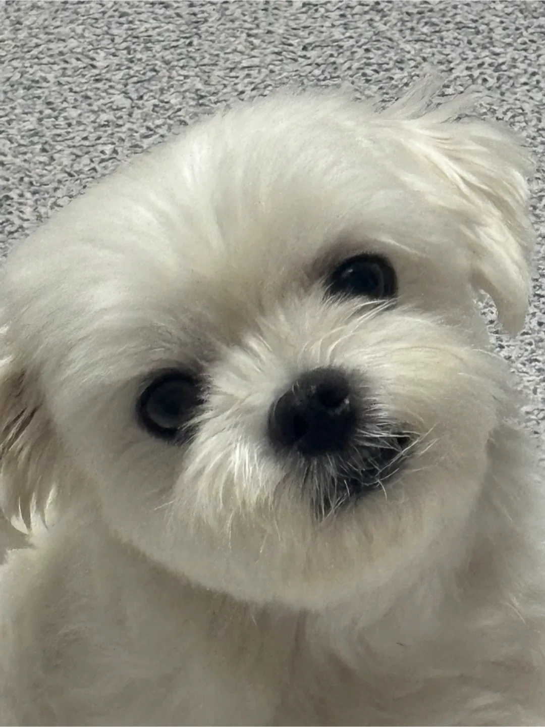아토