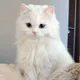 미세먼징