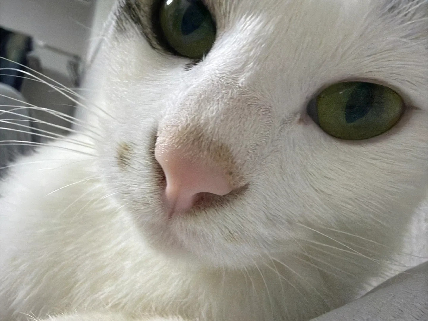 해밀