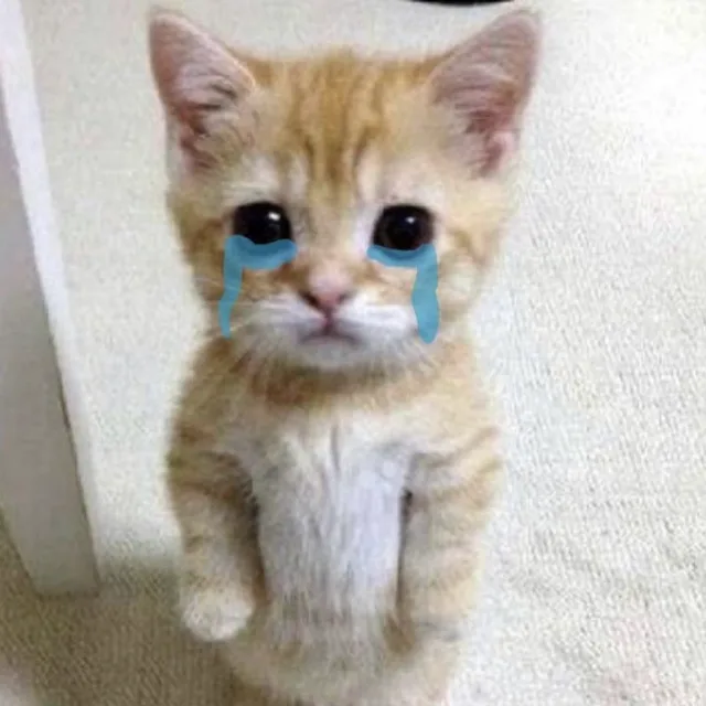 김겨울