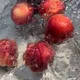 아침햇살