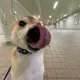 뭐요