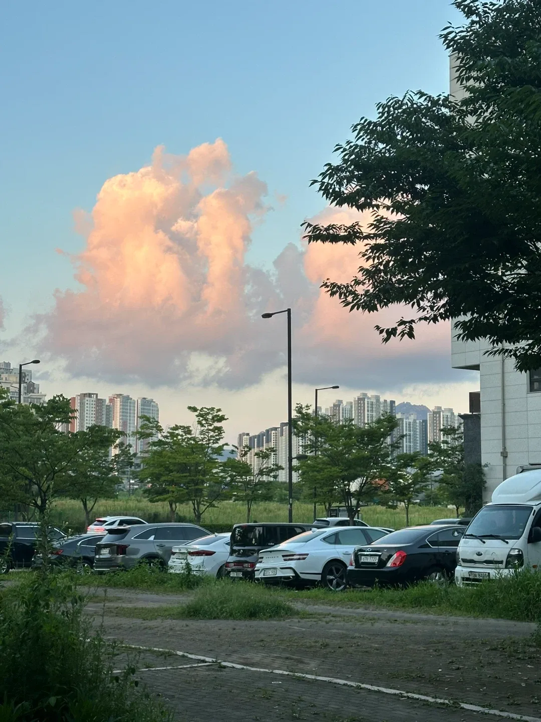 윤영
