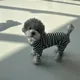 제이슨