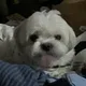 00