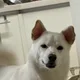 땡기