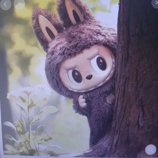 k신우