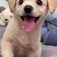 쁘띠써니