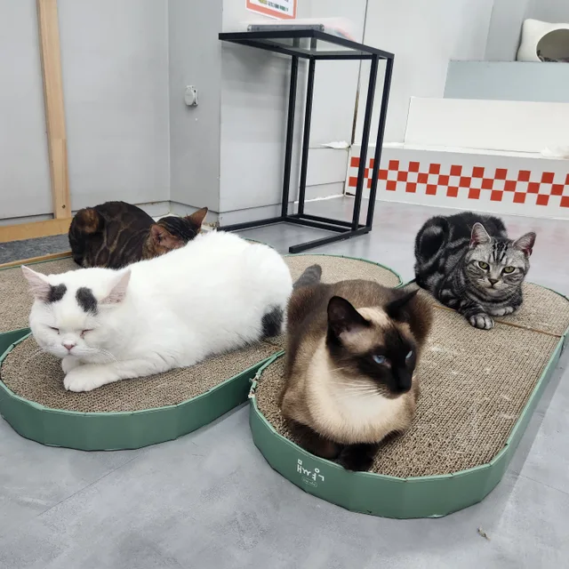 영리한책방지기