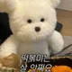 수키