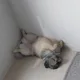 혀니야
