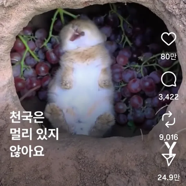 똑소리