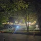 사랑파파