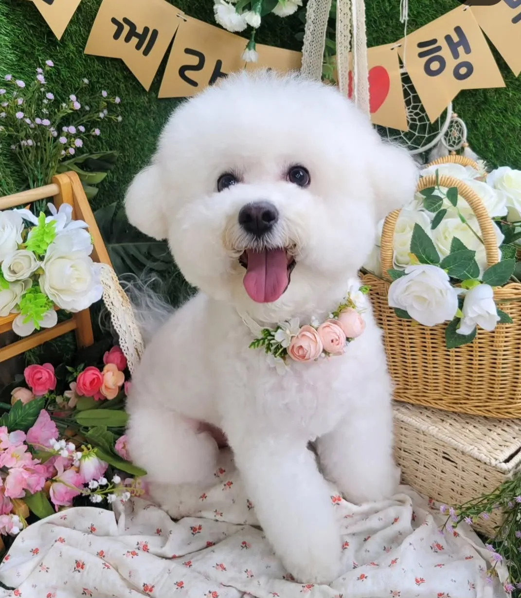 쩐의전쟁