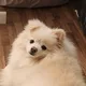 흠냐