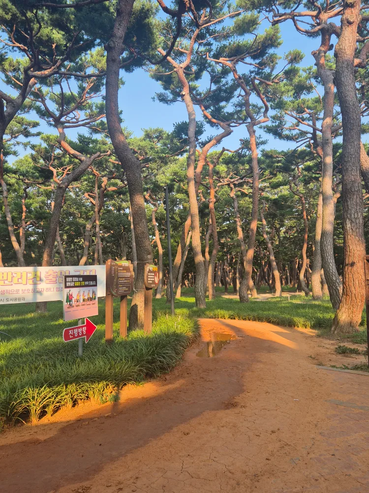 냠냠뉴