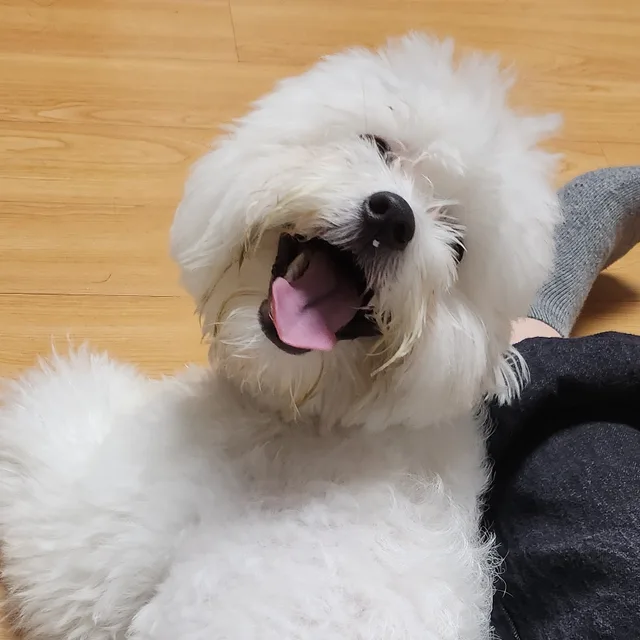 째째