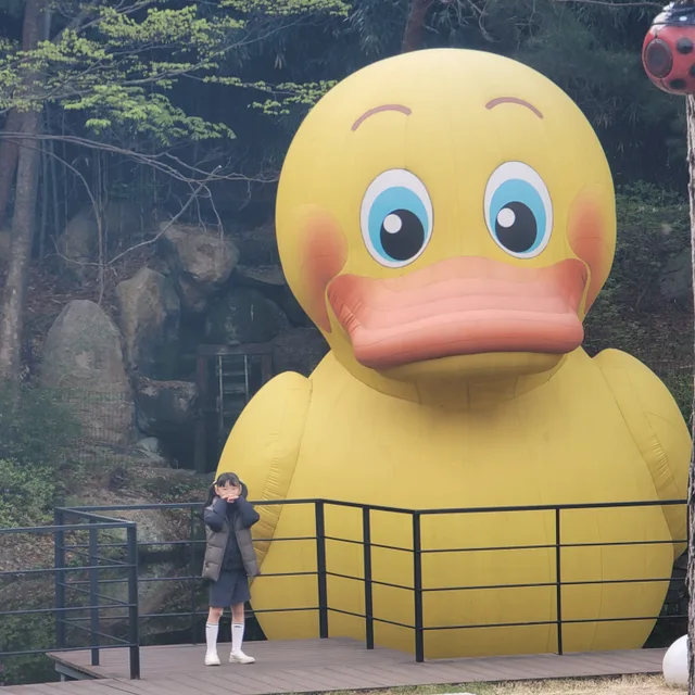 오키래