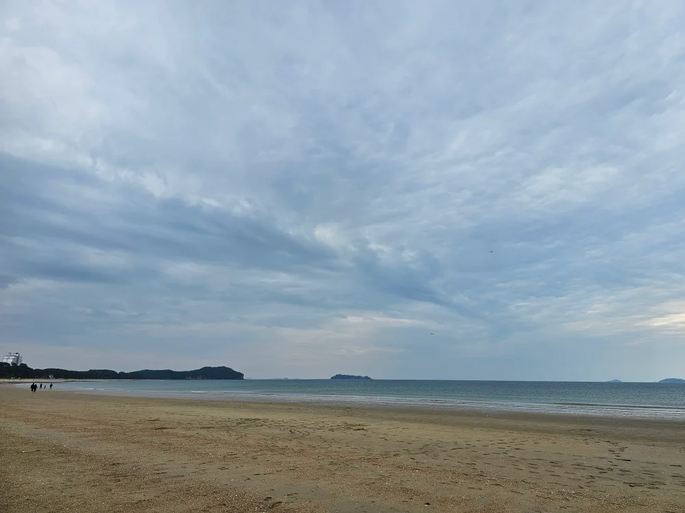 멍냥5