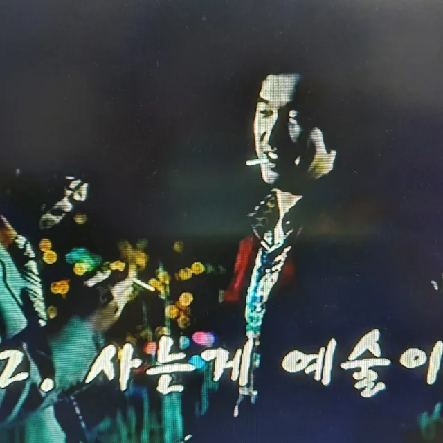 댕댕
