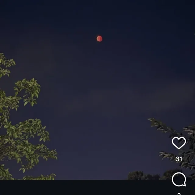 카드값줘체리