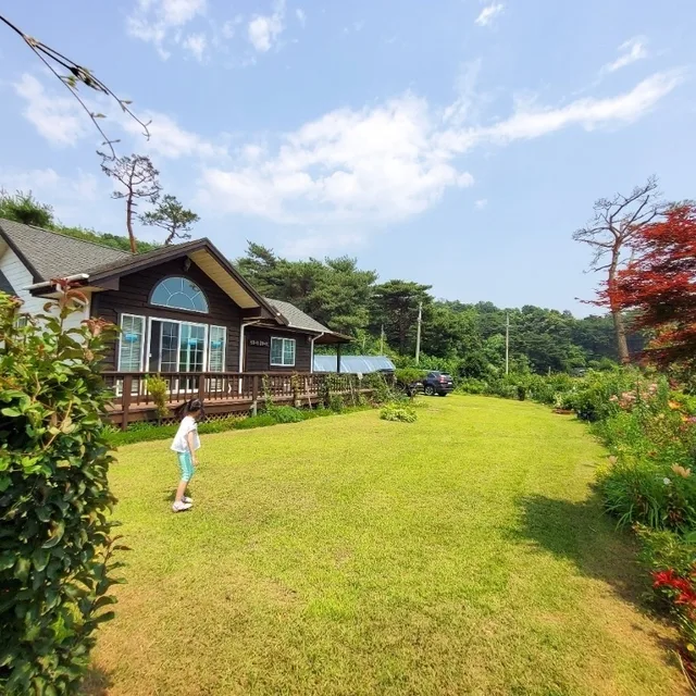 닥터리