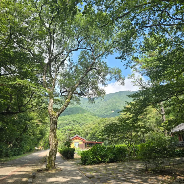 민트파르페