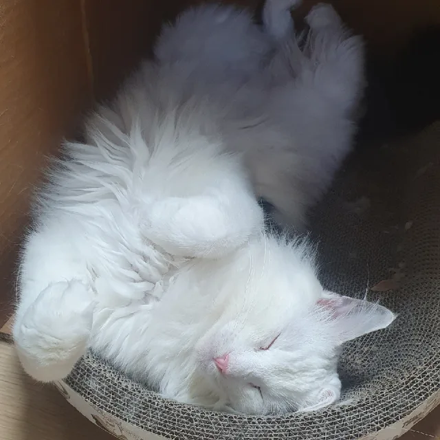 미쓰밥아저씨