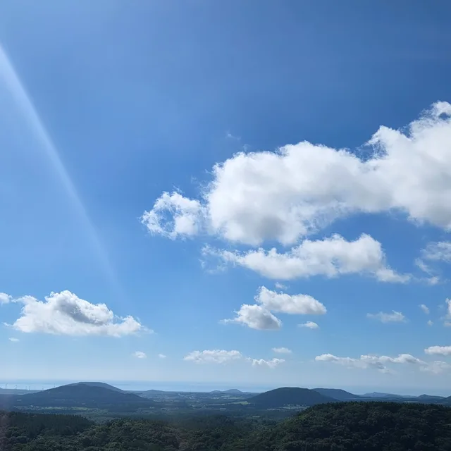조나단케이크