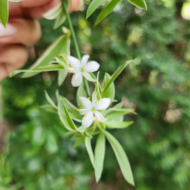 괜찮아