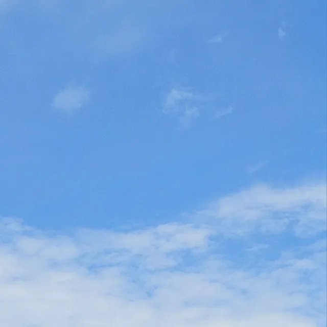 평정