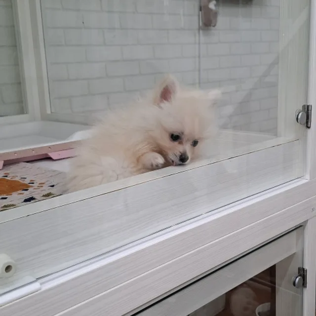밝은날