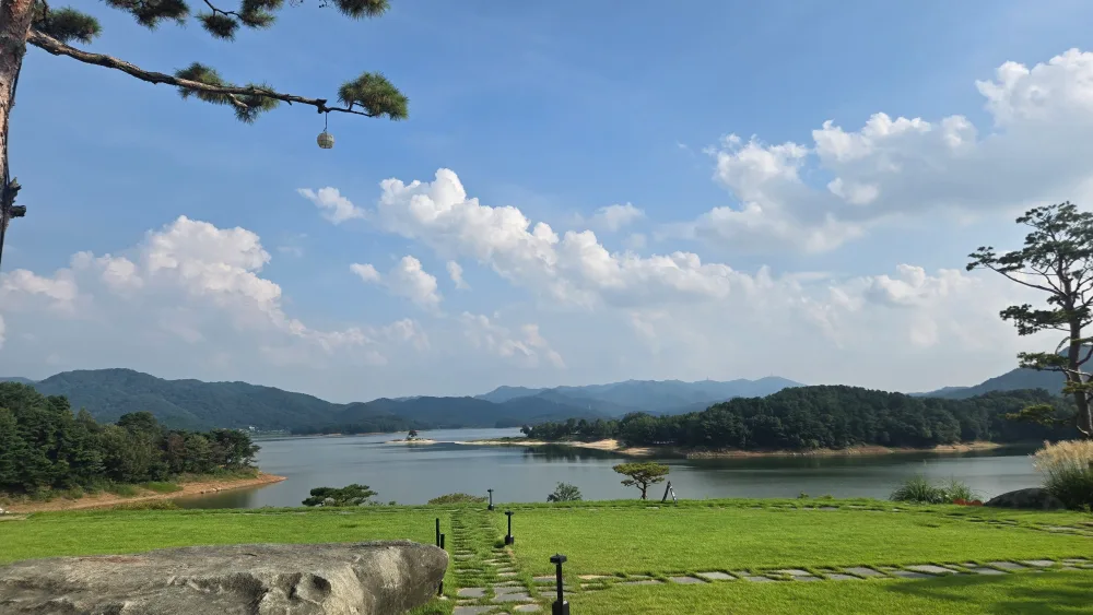 당근당근
