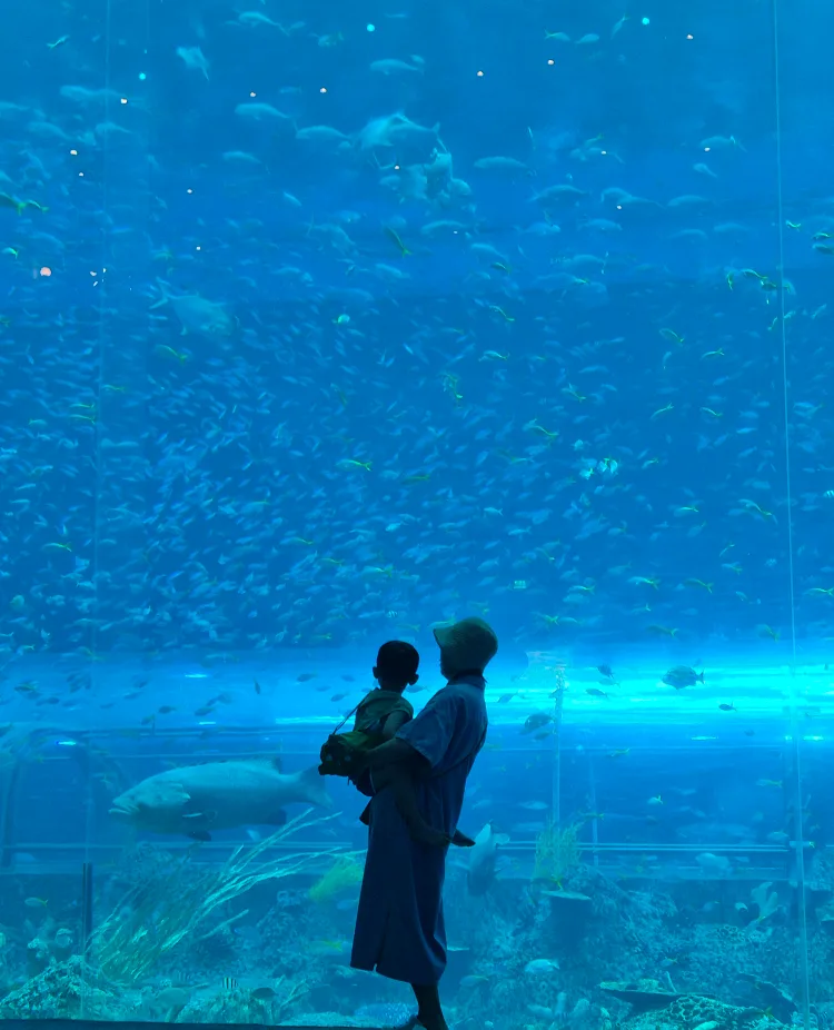 정리하자