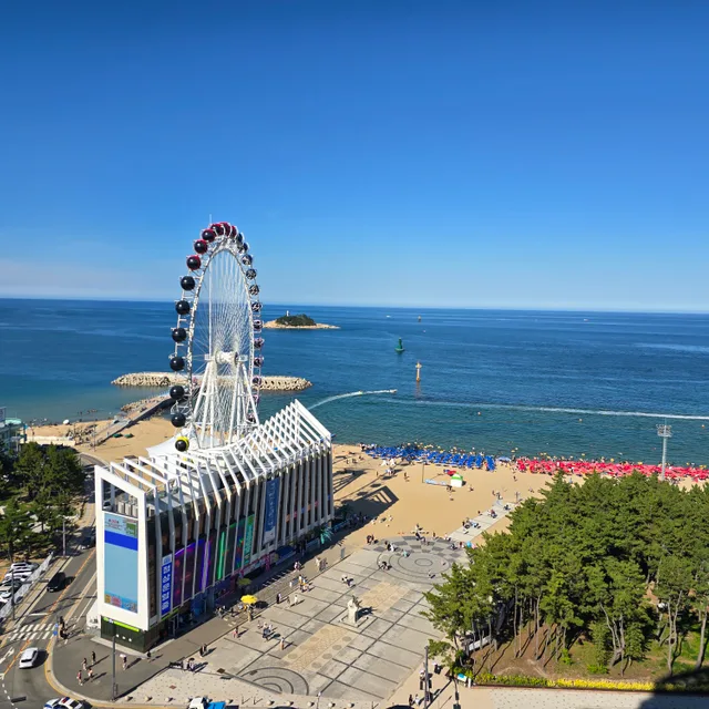 여름아안녕