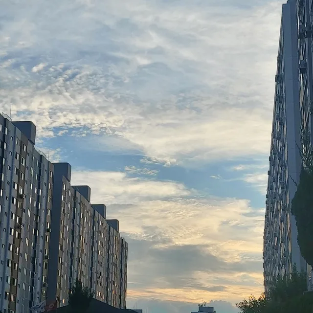 당근당근당근당근